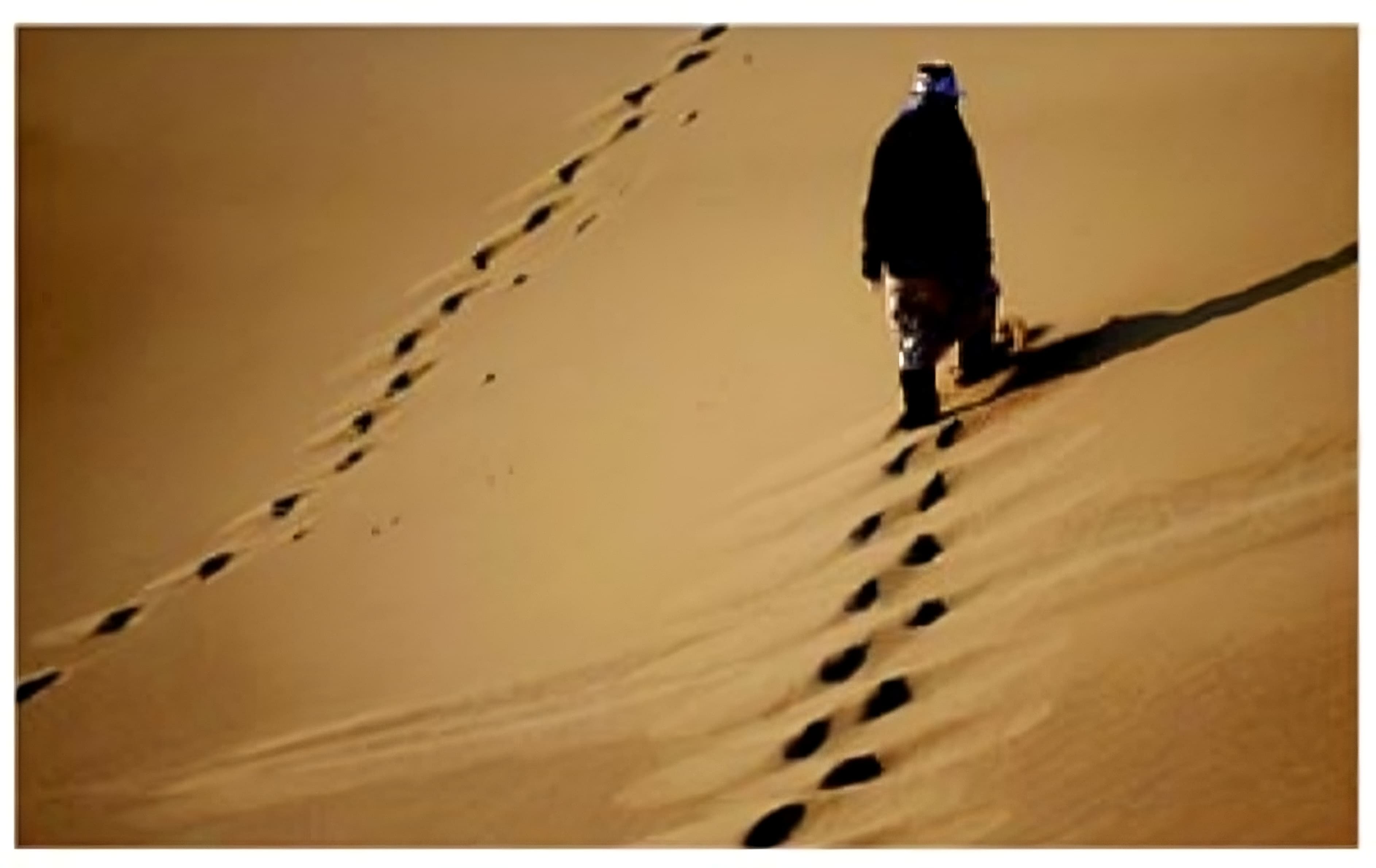 بیابان زایی سومین چالش مهم قرن ۲۱