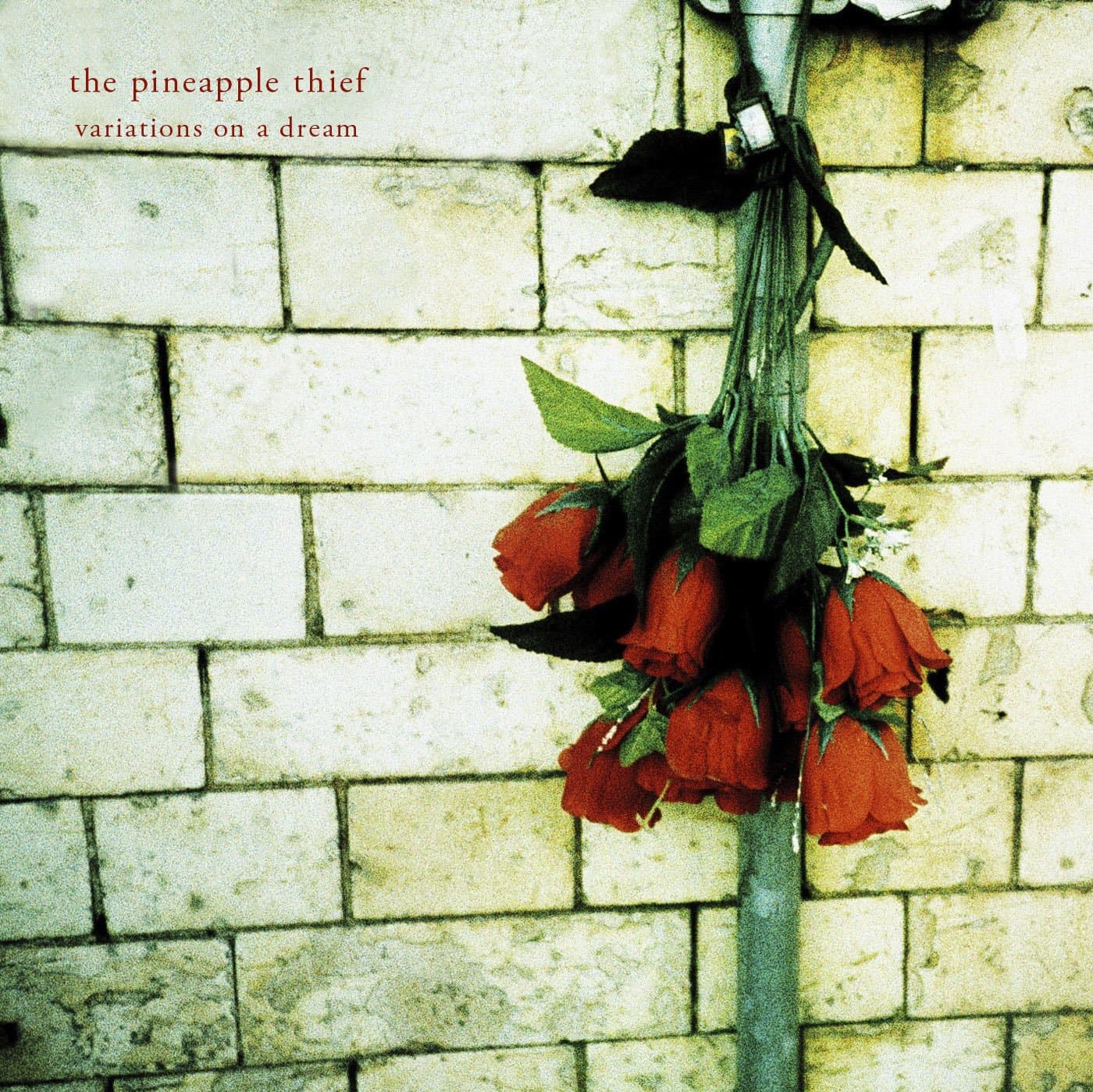 دانلود آهنگ The Pineapple Thief - Remember Us