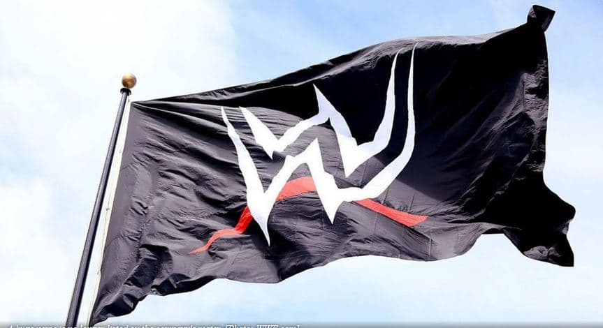 نام بزرگ دیگری از فهرست ستارگان WWE حذف شد