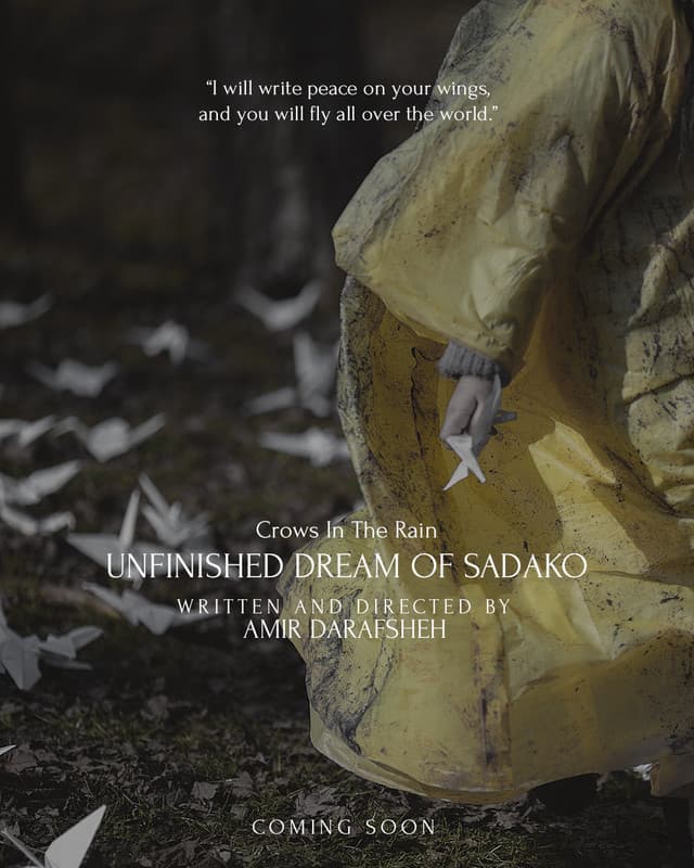  Crows in the Rain _ Unfinished Dream of Sadako