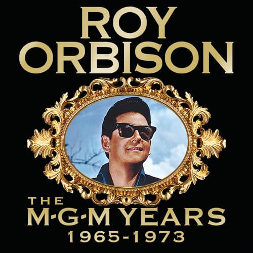 دانلود آهنگ Roy Orbison -  They Won't Be Many Coming Home