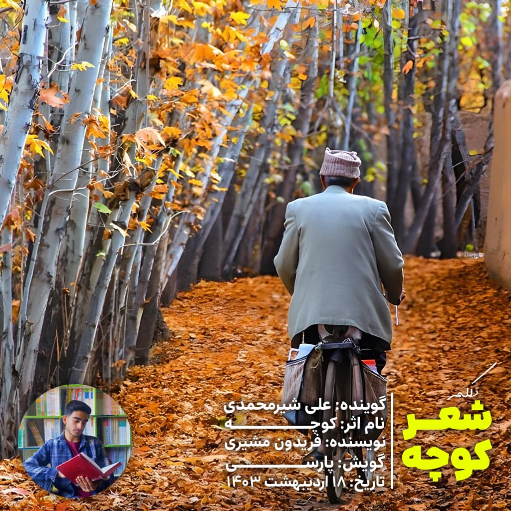 دکلمه شعر "کوچه" فریدون مشیری از علی شیرمحمدی?
