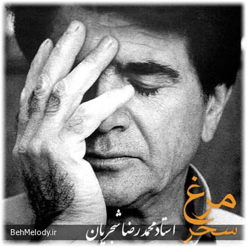 دانلود آهنگ مرغ سحر با صدای هایده و معین( هوش مصنوعی)