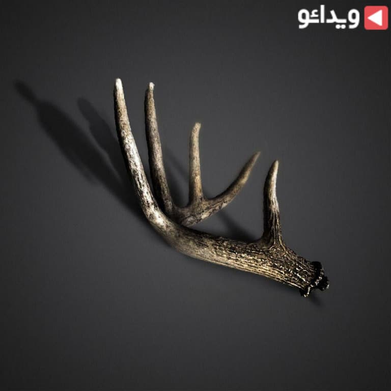 دانلود اهنگ ناخدا جلال از علی سورنا
