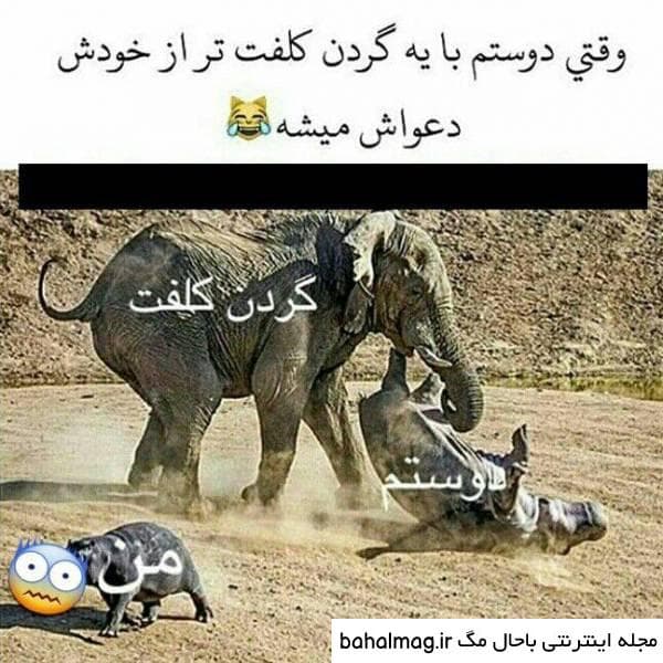 من،وقتی رفیقم با یه‌گردن کلفت دعواش میشه :|