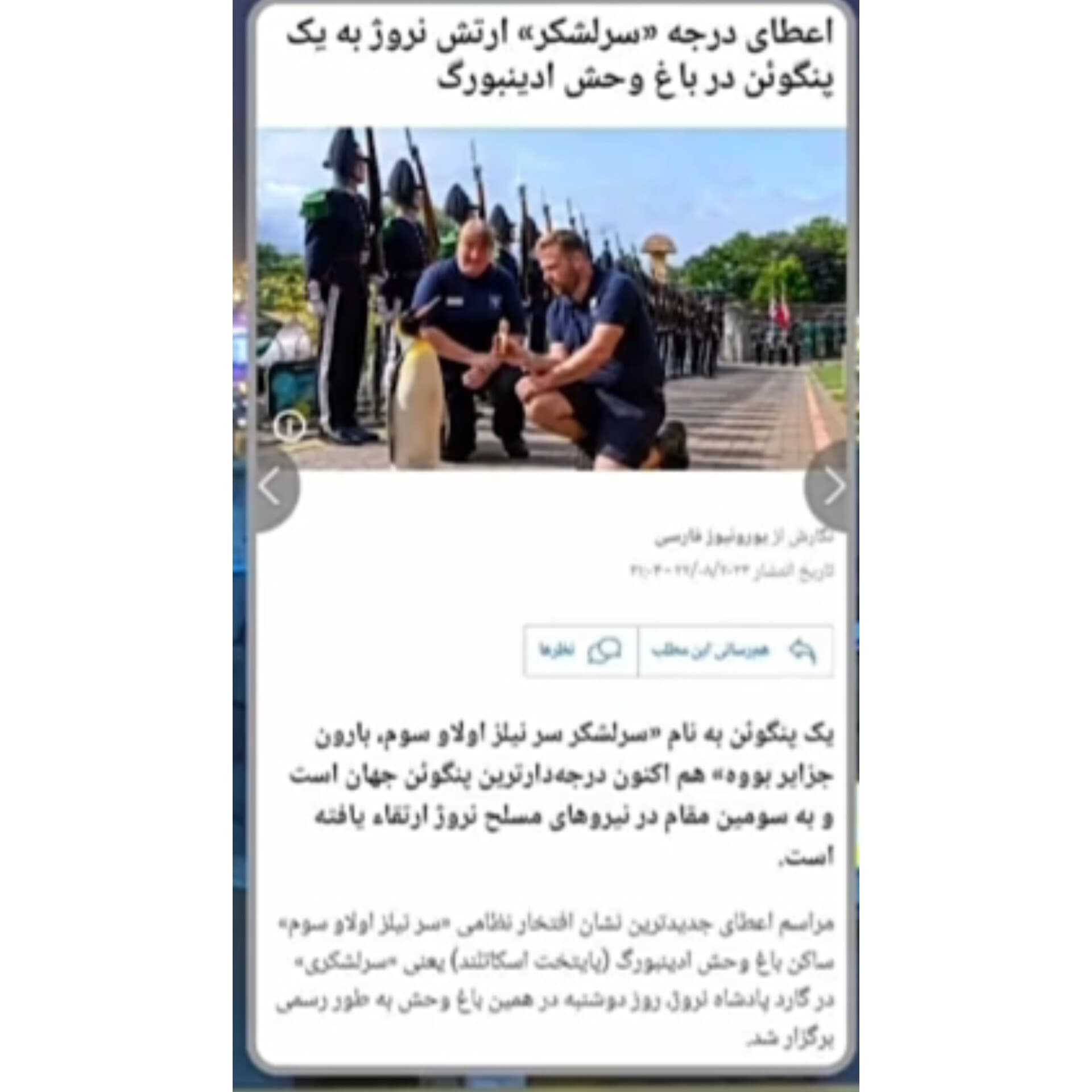 سرهنگ پنگوئن وارد میشود