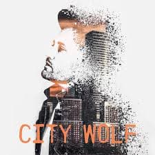آهنگ Protector از City Wolf
