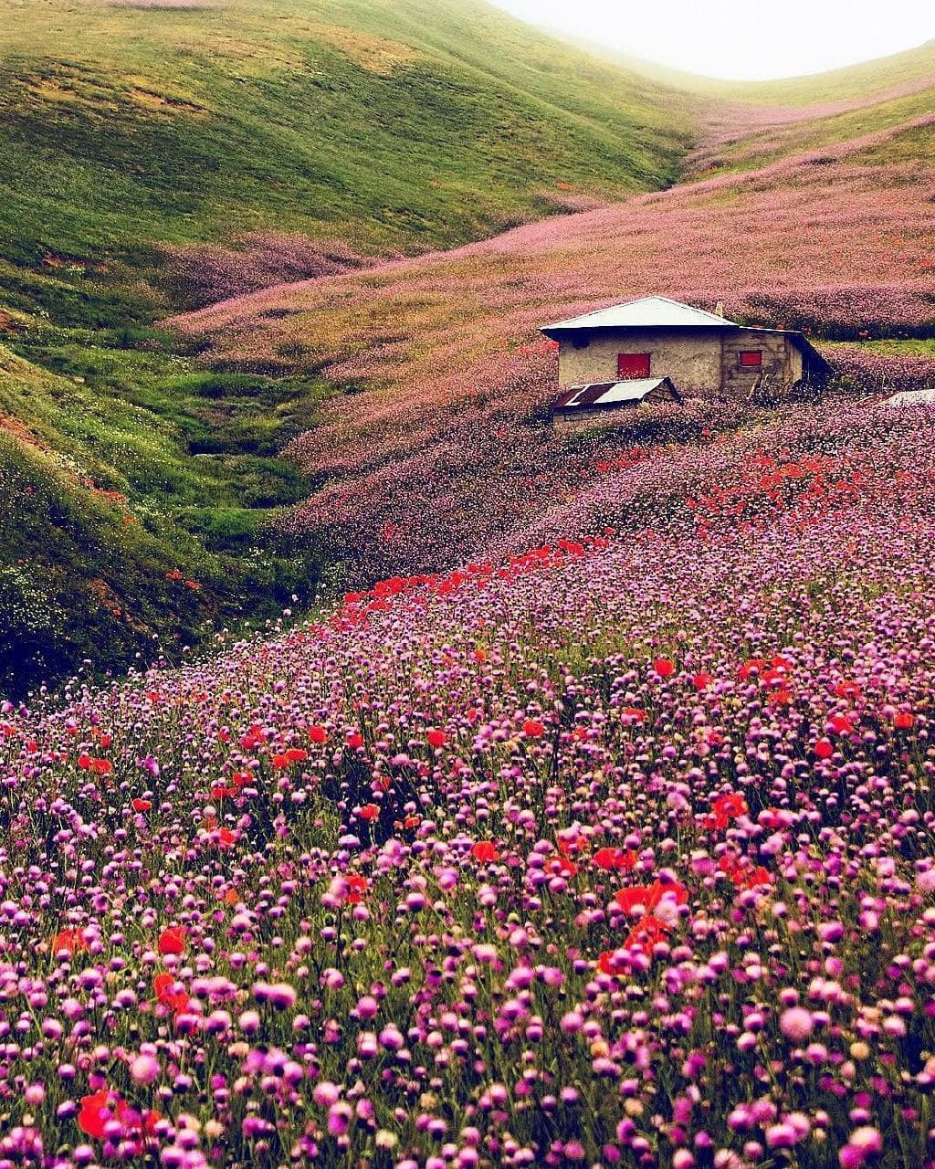 ییلاق الماس در مسیر جاده اسالم به خلخال گیلان ایران زیبا