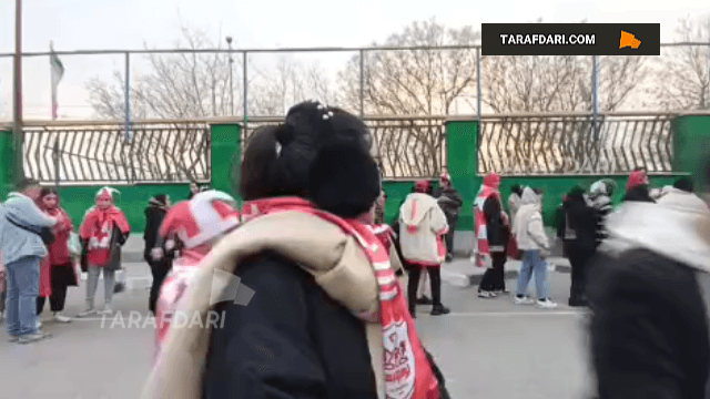 هوادار خانم پرسپولیس: به خاطر کریم باقری آمدم؛ عاشق عالیشاه هستم