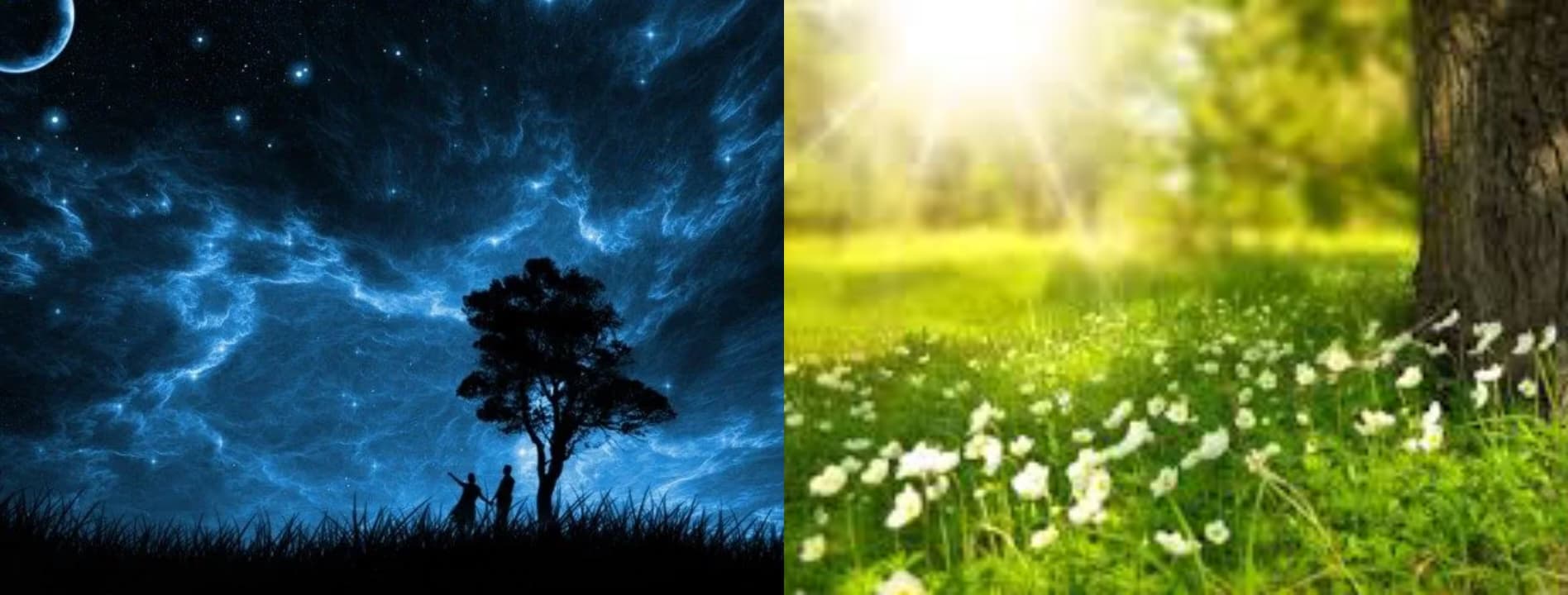 کدومش ? شب? یا روز? ؟ 