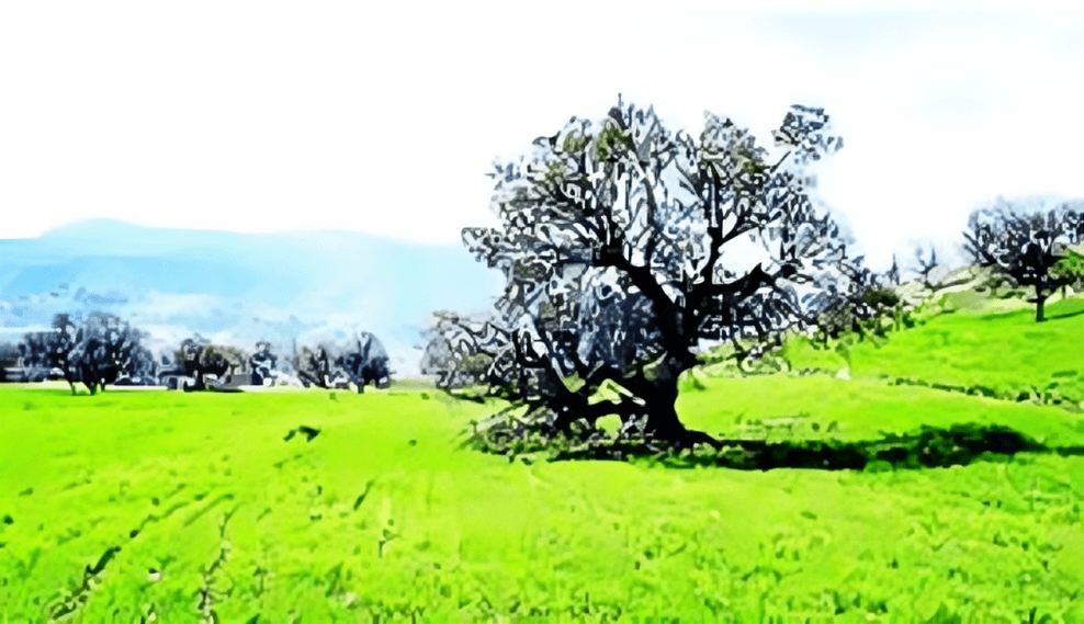 ایلام, عروس زاگرس