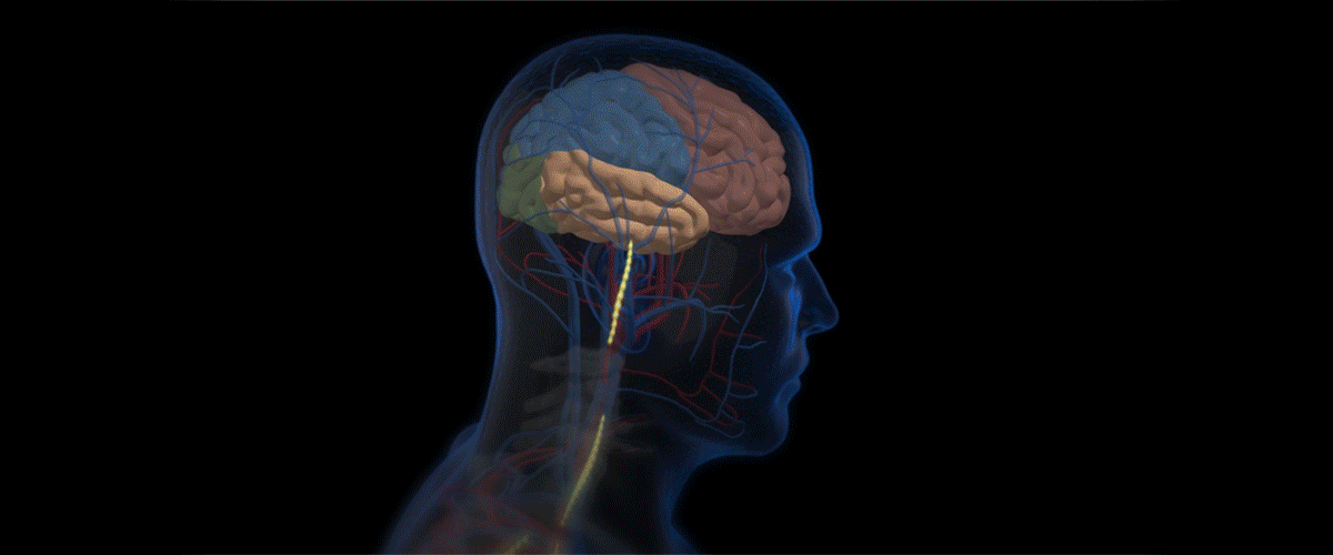 آیا علم.عشق.گرسنگی. در آزمایشگاه قابل مشاهده هست؟?
