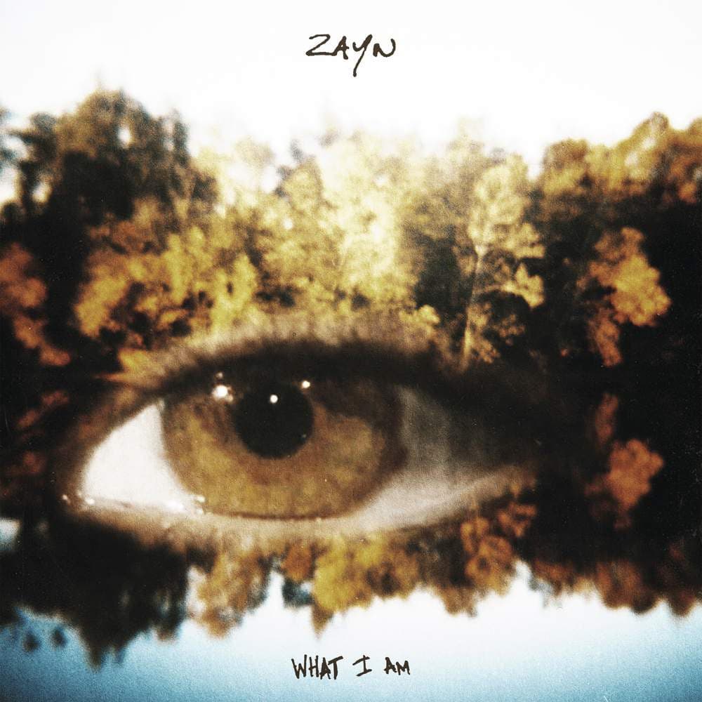 آهنگ Zayn - What I Am