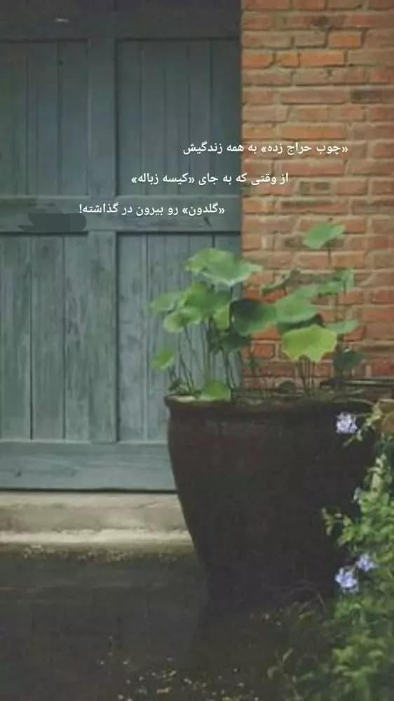 ?دولت برای نجات استقلال از انحلال، پرسپولیس را قربانی کرد???