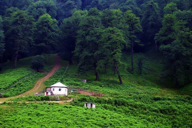 نکات خواندنی جذاب درباره عروس شهرهای ایران