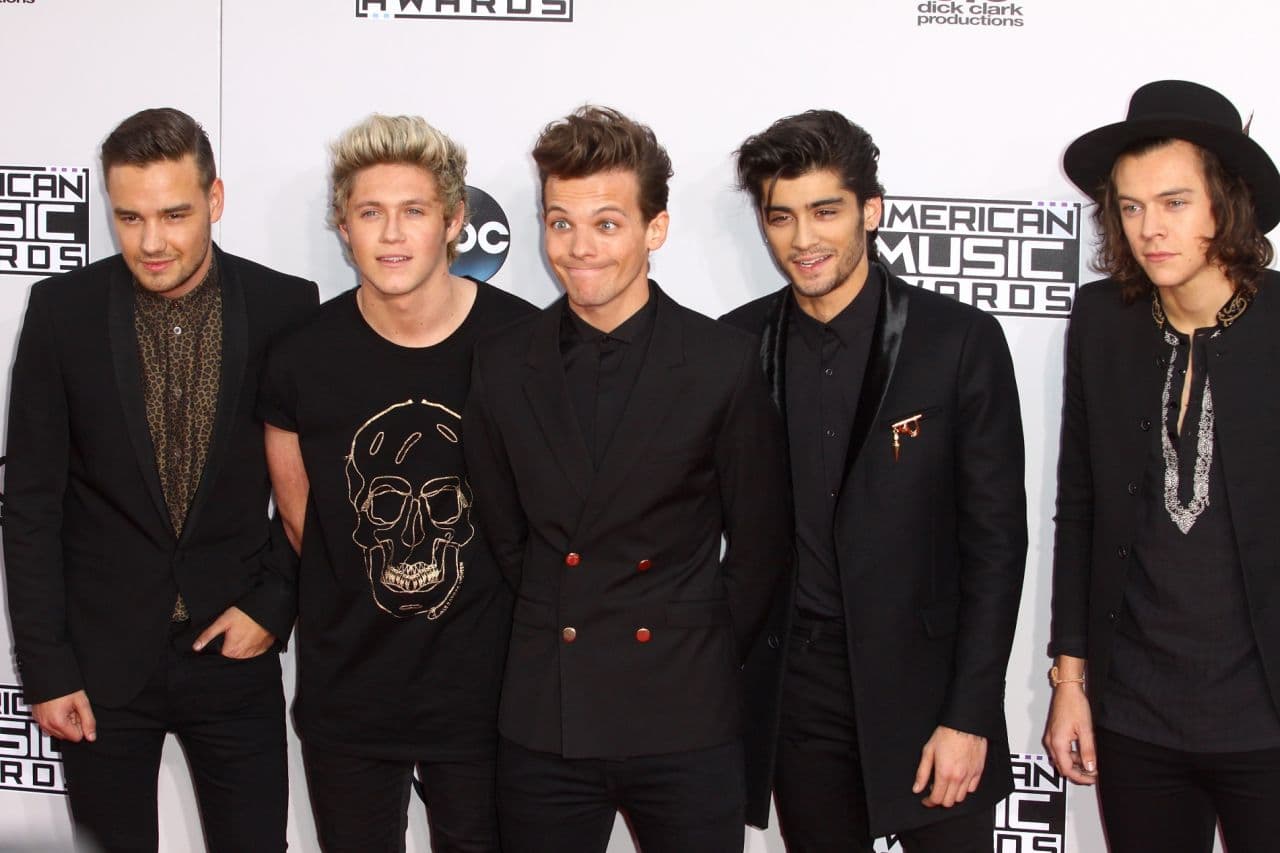 دانلود آهنگ walking in the wind از one Direction