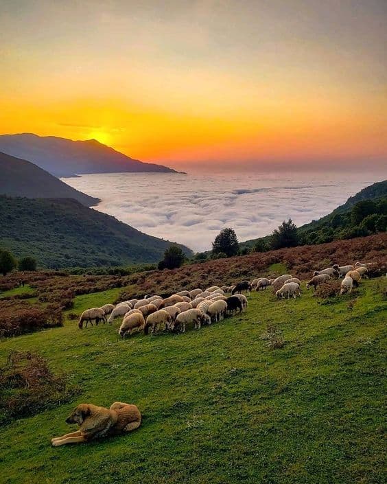 آهنگ زیبا به زبان تالشی : آوای تالش - بلبلان 