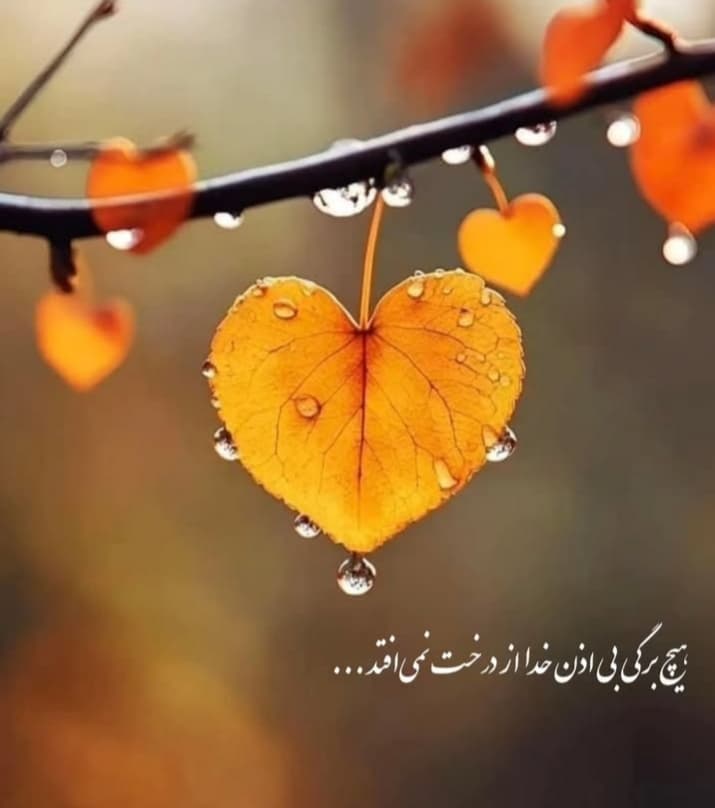 عکس نوشته