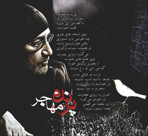دانلود آهنگ خاطره انگیز پرنده مهاجر سیاوش قمیشی | بهترین کیفیت همراه متن 
