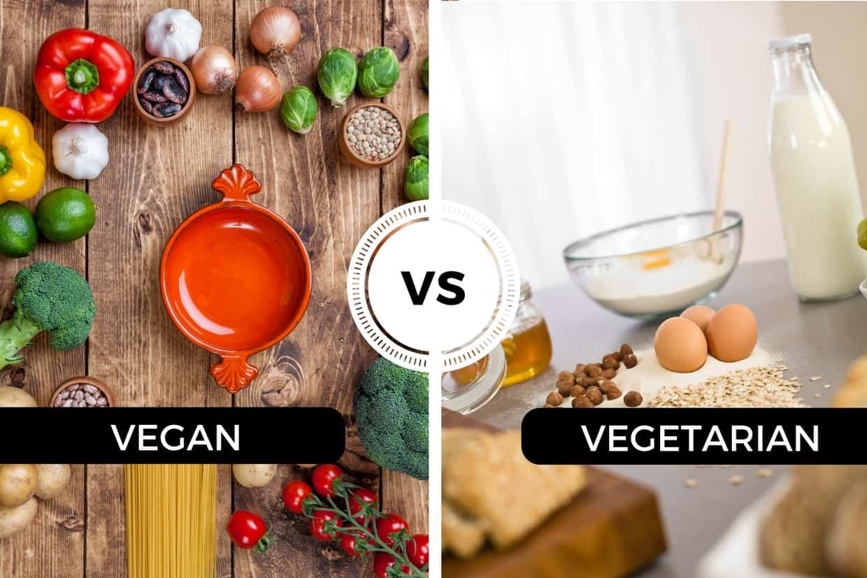 گیاه خواری یا همه چیز خواری؛ بررسی نکاتی برای کاهش وزن