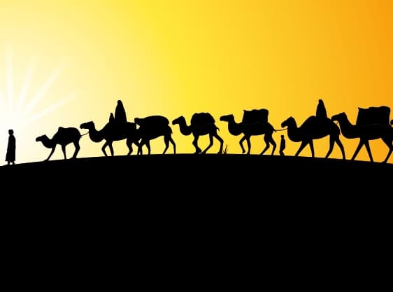 نوری تو عالم نبود