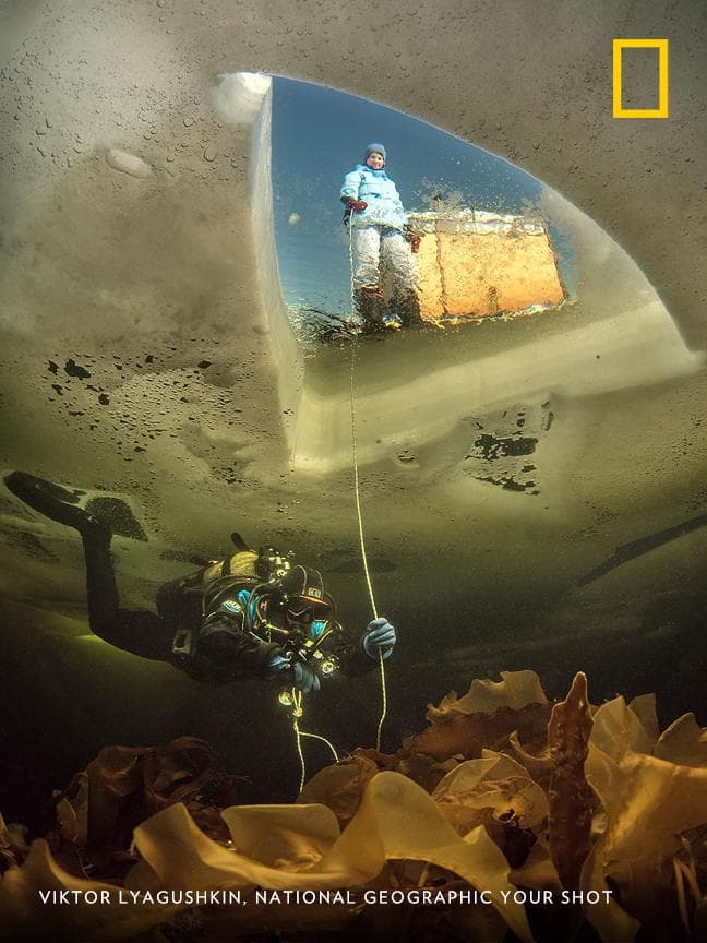 نشنال جئوگرافیک: Under the Ice 