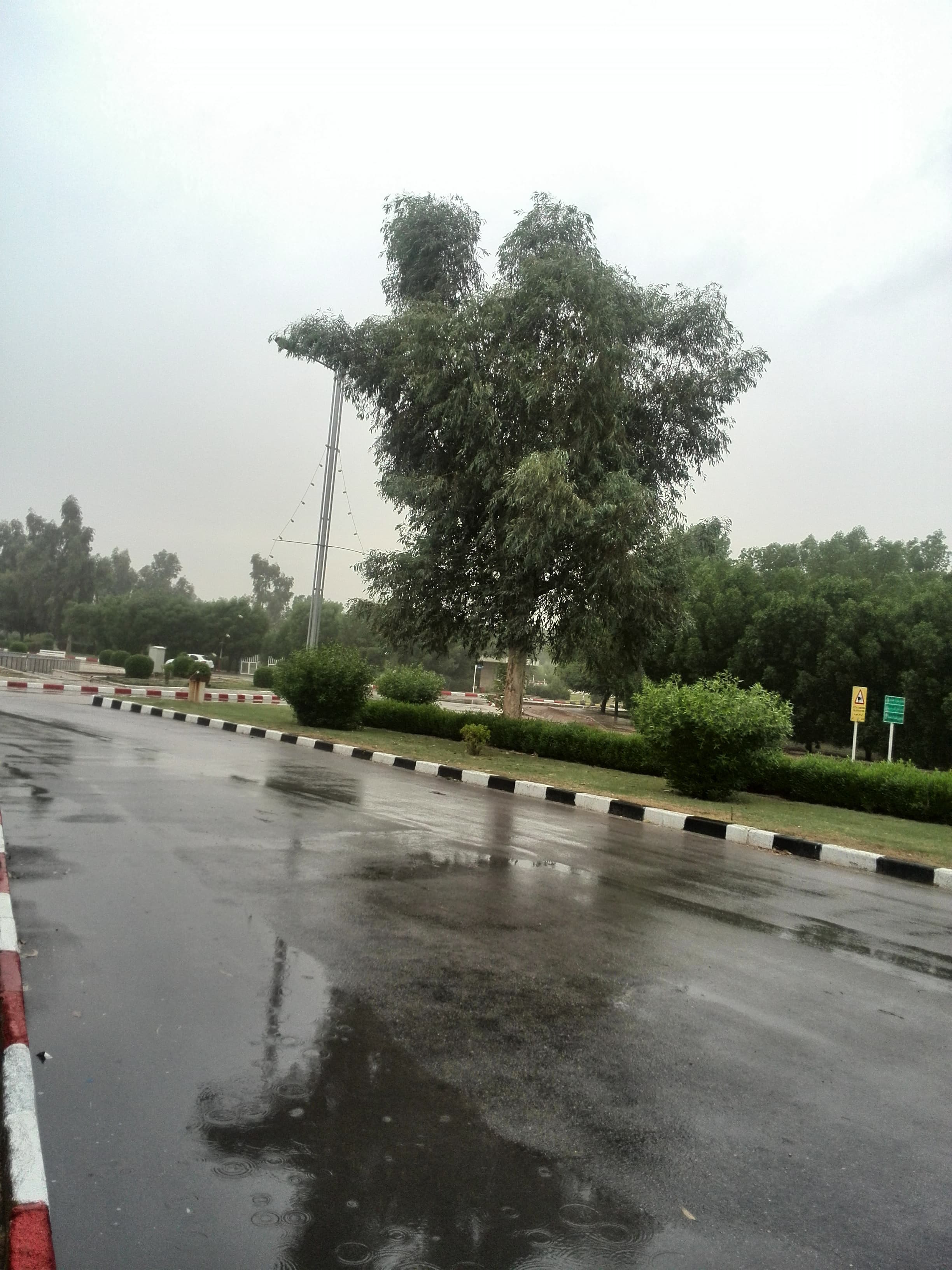 اینجا لندن (1)
