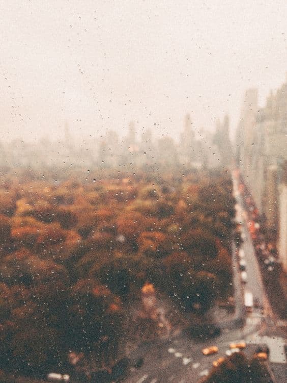 آهنگ من دیگه بچه نمیشم - نادر گلچین