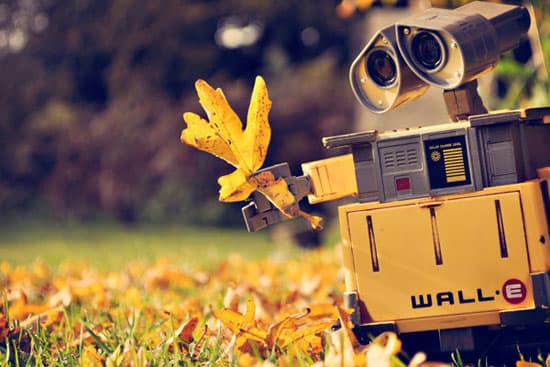 بهانه ای برای آرامش