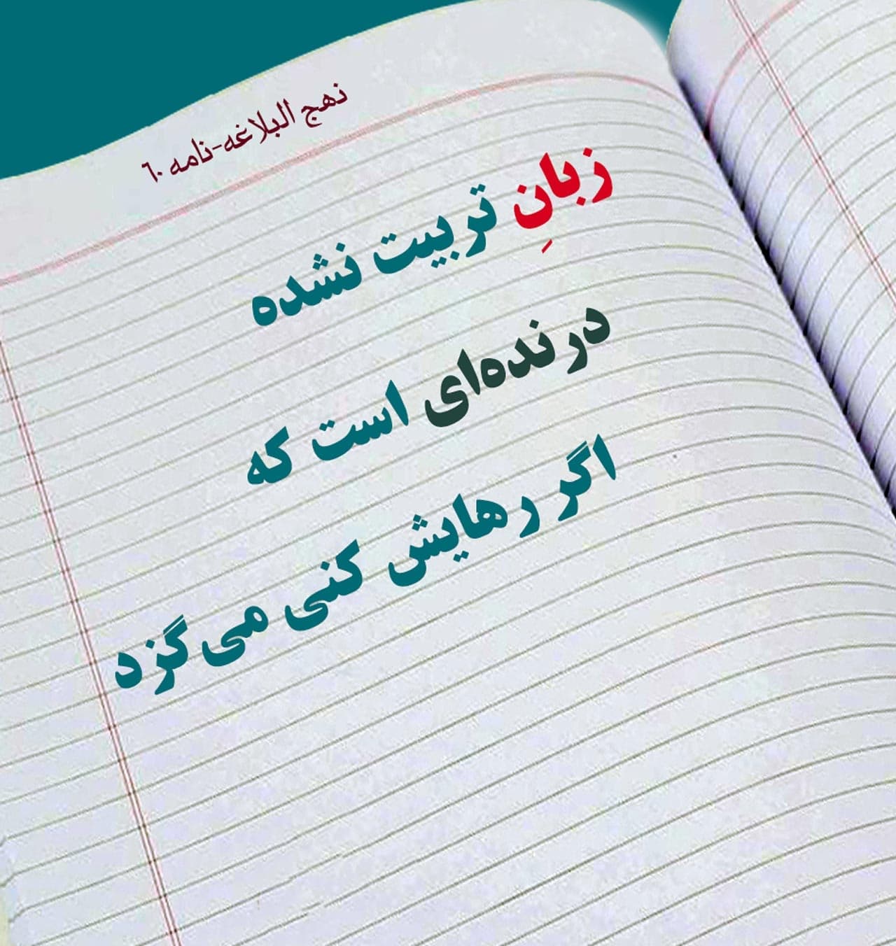 چند کلامی با دوستان 