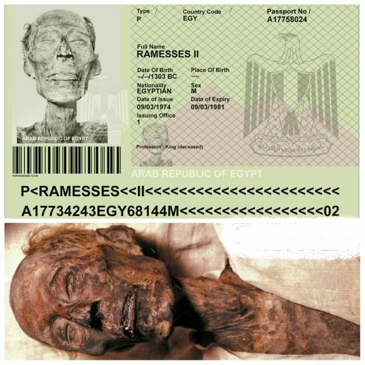 پاسپورتی برای فرعون مصر!