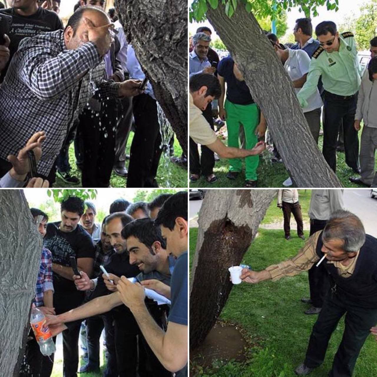 معجزه ای که قلابی از آب درآمد