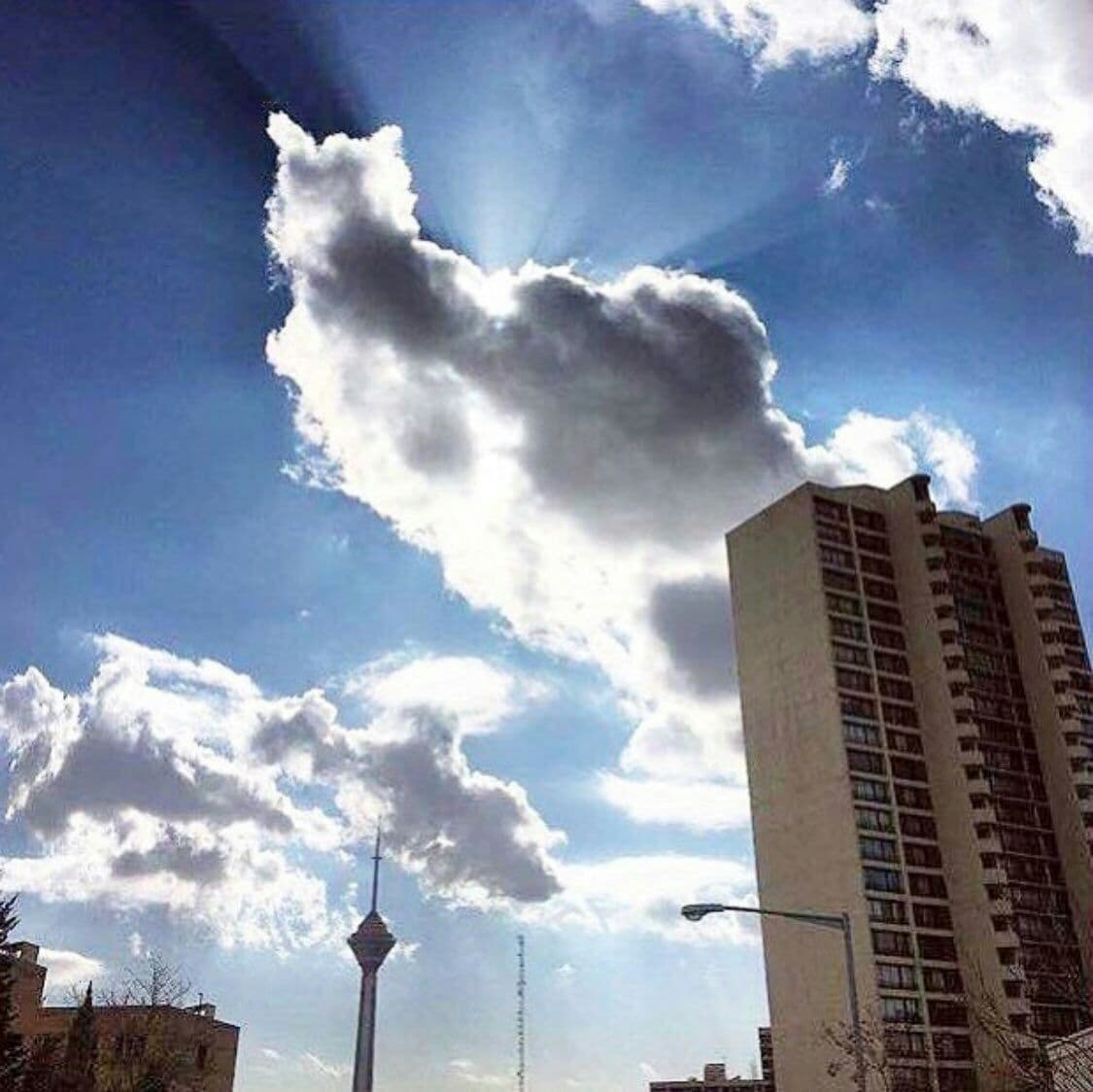سخنی زیبا از هاروکی موراکی