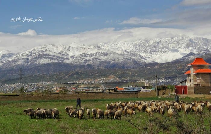 بهترین شهر ایران برای زندگی.نظر شما هم همینه؟+عکس