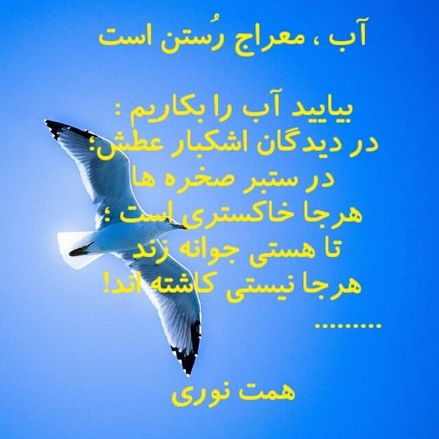 همه ی شادی ها از شکوه زلال آب است 