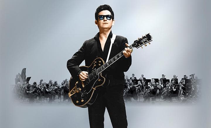 دانلود آهنگ زیبای Roy Orbison - California Blue