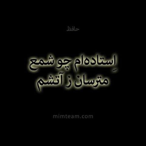 برای علی کریمی؛ درخت ها ایستاده می میرند!