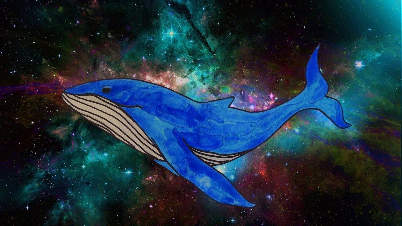 iday - Solo whale