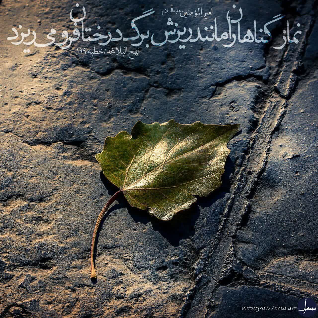 اهمیت نماز (خداى بزرگ نماز را واجب فرمود تا انسان را از تكبر و گردنكشى پاك گرداند)