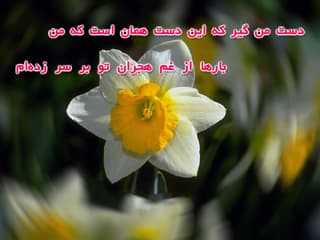 رد حضور حسنین در حمله به ایران(2)