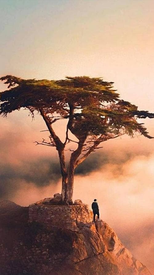 چاکراها و فرشتگان