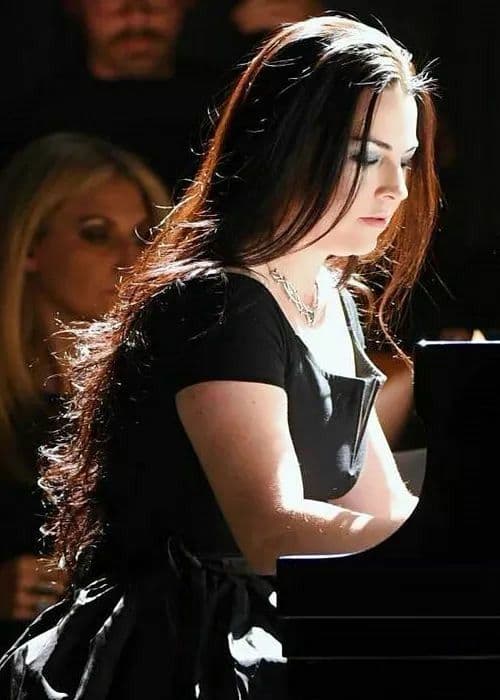 Evanescence -Missing 