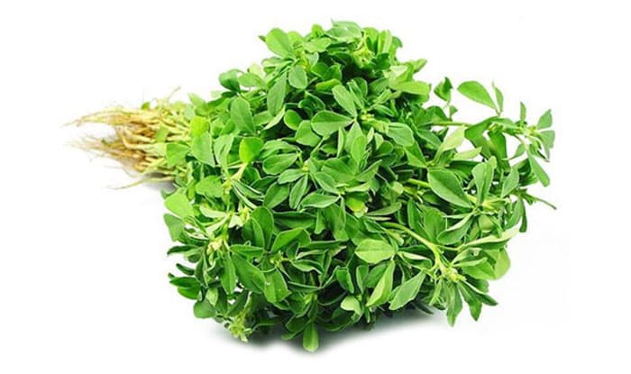 خواص عرق شنبلیله؛ از کاهش قندخون تا درمان ریزش مو