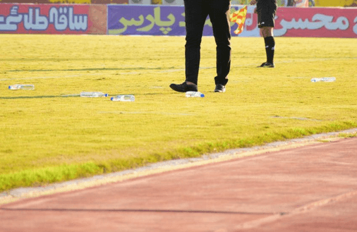 چمن پنبه ای !