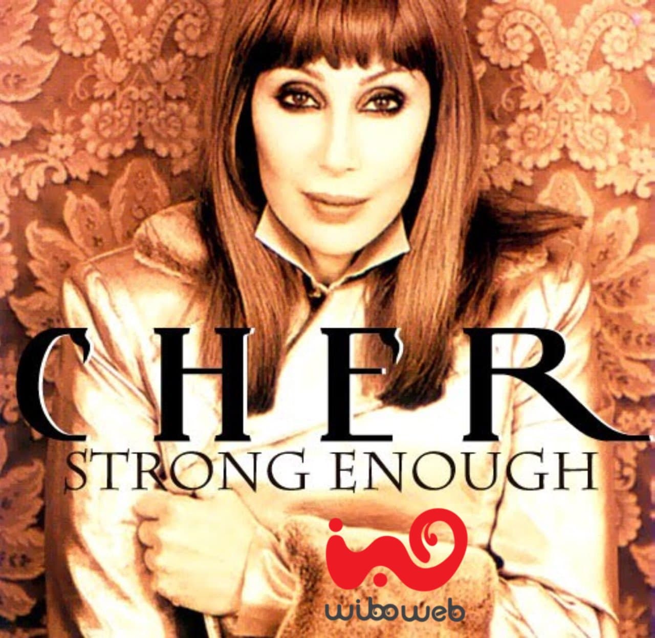 دانلود آهنگ Cher - Strong Enough
