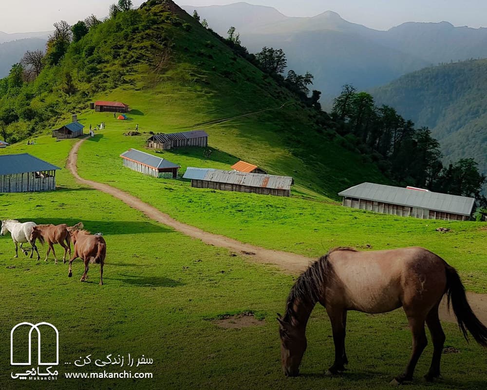 آگهی؛ سفر به ماسوله، رشت، اولسبلنگاه؛ سفر به سرزمین ابر و باران