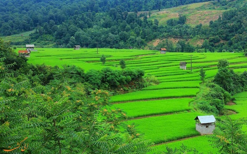 آهنگ بسیار احساسی جانِ مار از لیلا اصفهانی
