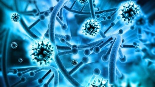 اگه سرما بخوریم تا 6 ماه بدنمون در برابرش مصون میشه و دیگه نمیگیریم؟