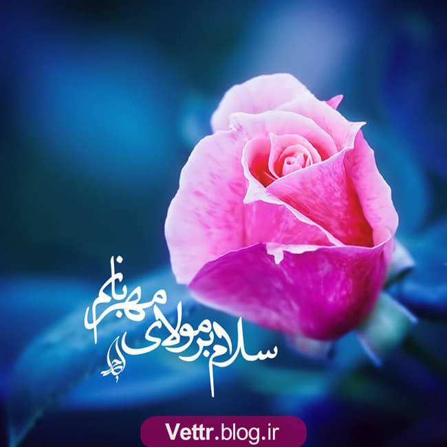 طرح پویش جمعه های مهدوی(هفته هشتم)