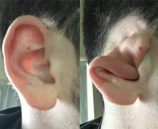 واکنش گوش های من وقتی سد بشیر حرف میزنه